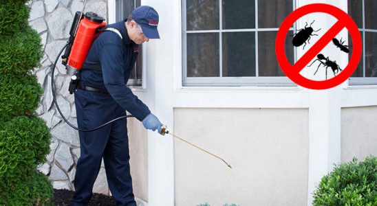 Küçükyalı Böcek İlaçlama böcek ilaçlama ve haşere kontrolü — ilaclama-tr.com
